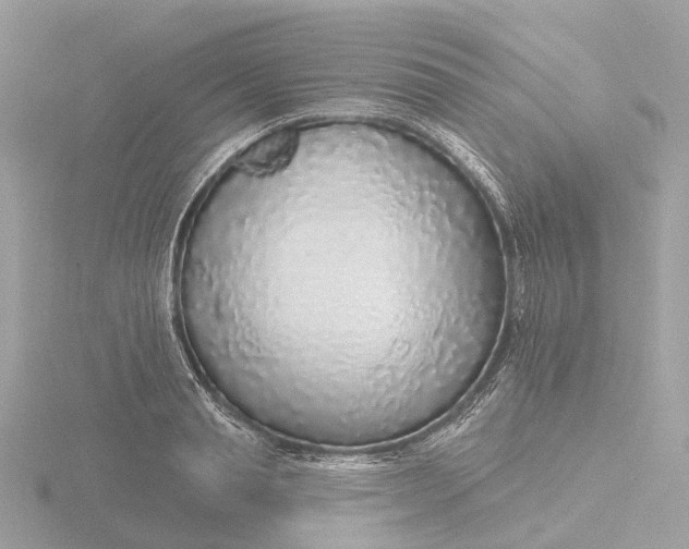 X0000116430845200912221503