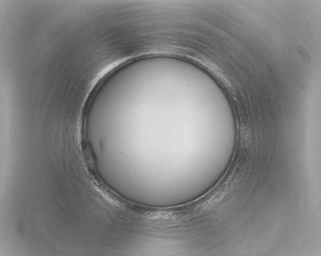 X0000116430846200912221503