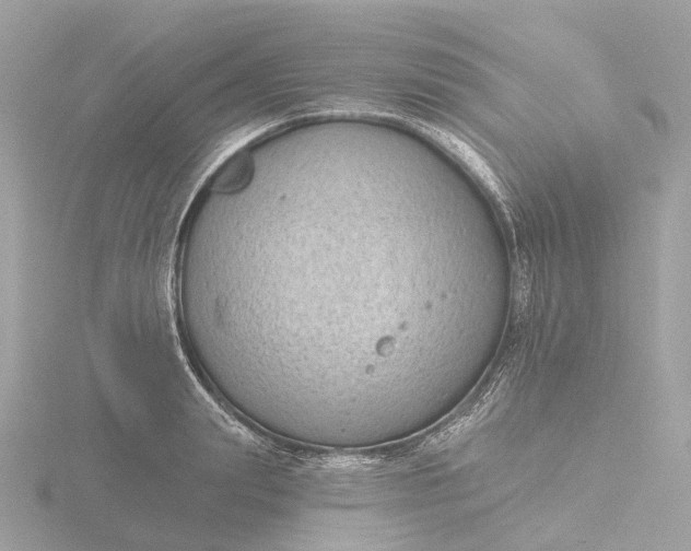 X0000116430847200912221503