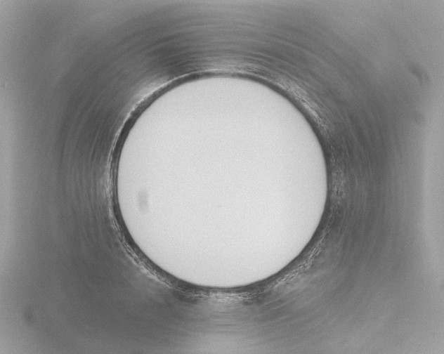 X0000116430848200912221503