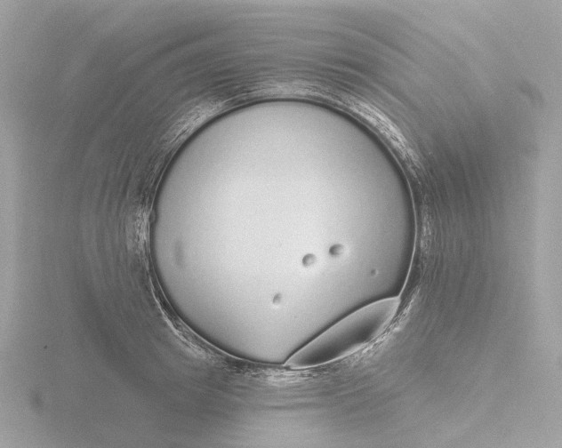 X0000116430849200912221503