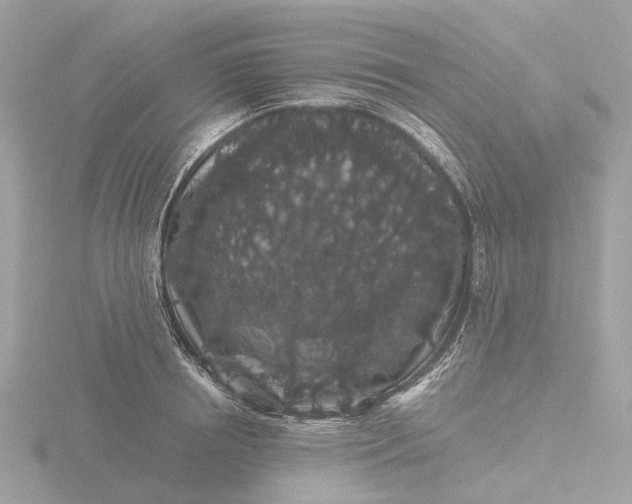 X0000116430850200912221503