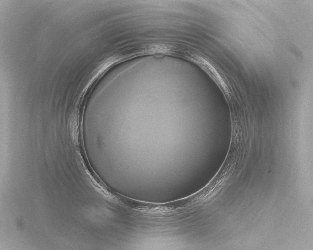 X0000116430851200912221503