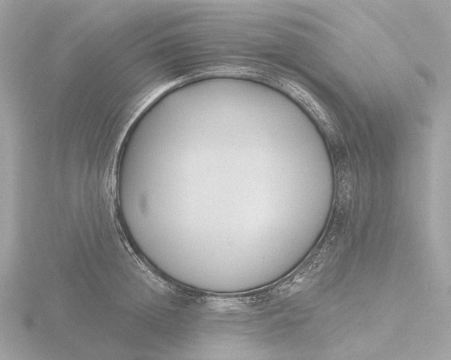 X0000116430852200912221503