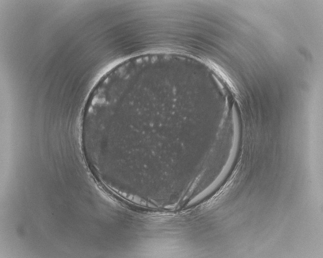 X0000116430854200912221503