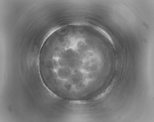 X0000116430855200912221503