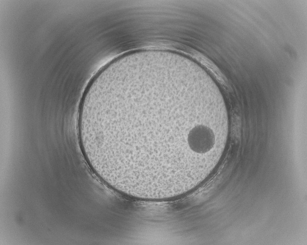 X0000116430856200912221503