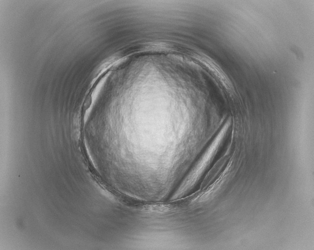 X0000116430858200912221503