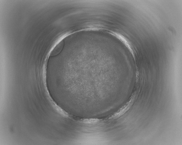 X0000116430859200912221503