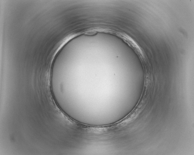 X0000116430860200912221503