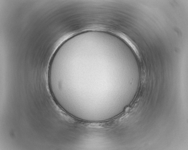 X0000116430861200912221504