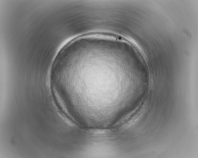 X0000116430862200912221504