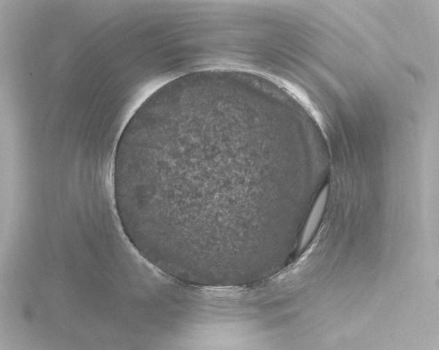 X0000116430863200912221504