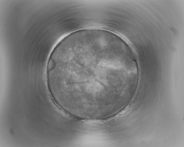 X0000116430864200912221504