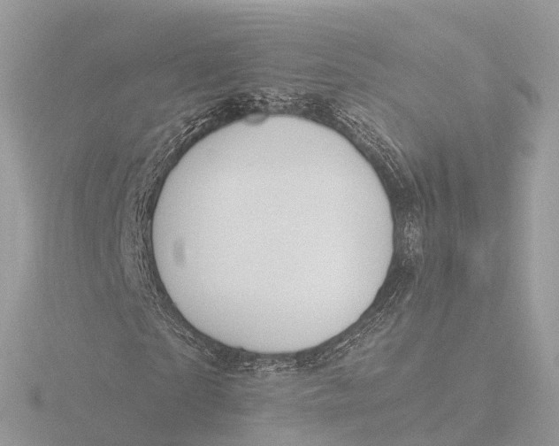 X0000116430865200912221503