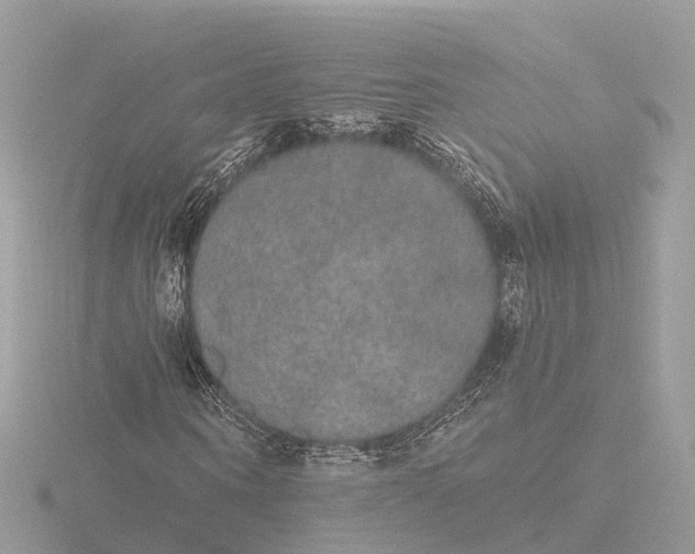 X0000116430866200912221503