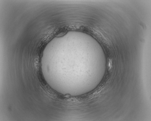 X0000116430867200912221503