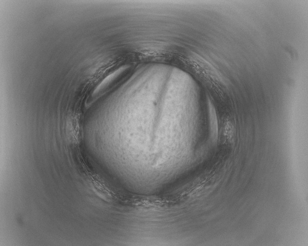 X0000116430868200912221503