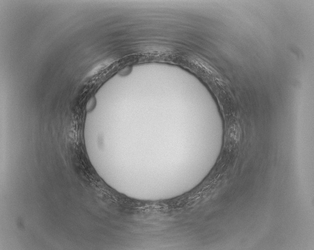 X0000116430869200912221503