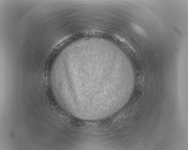 X0000116430870200912221503