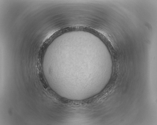 X0000116430871200912221503