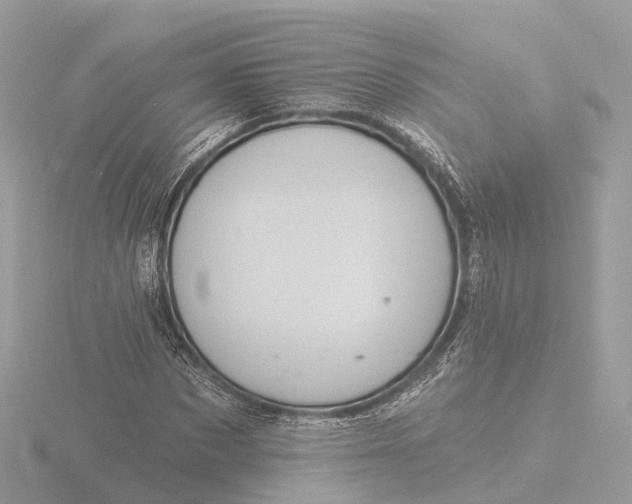 X0000116430873200912221503