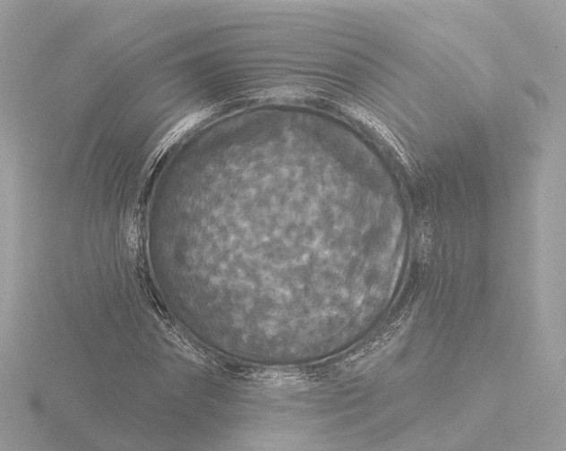 X0000116430874200912221503