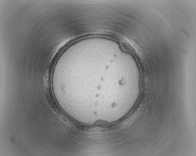 X0000116430875200912221503