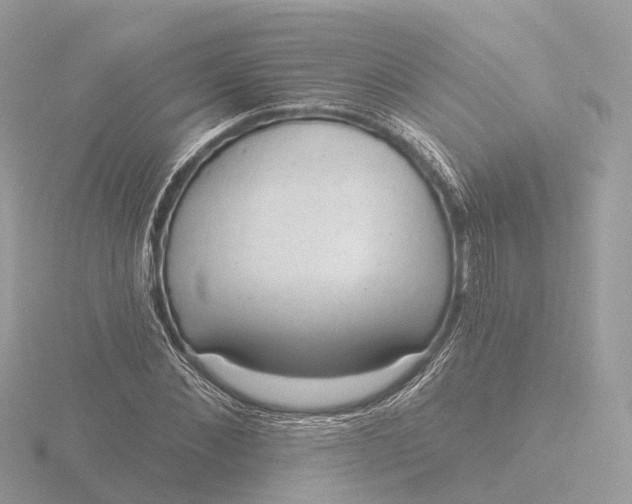 X0000116430876200912221503