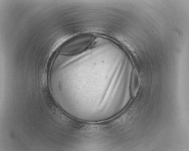 X0000116430877200912221503