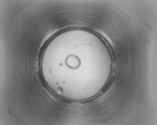 X0000116430878200912221503