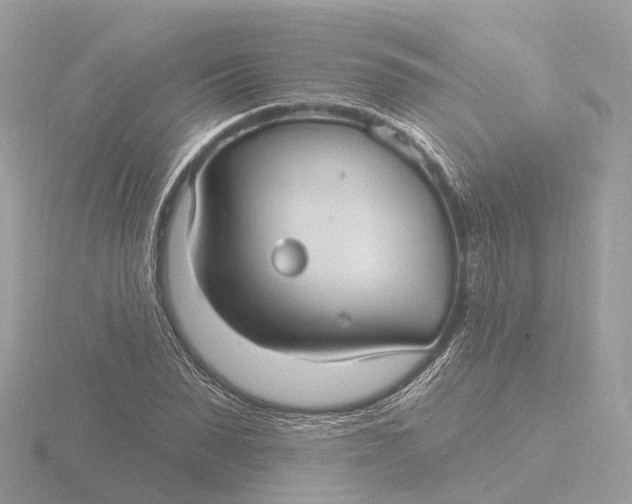 X0000116430879200912221503