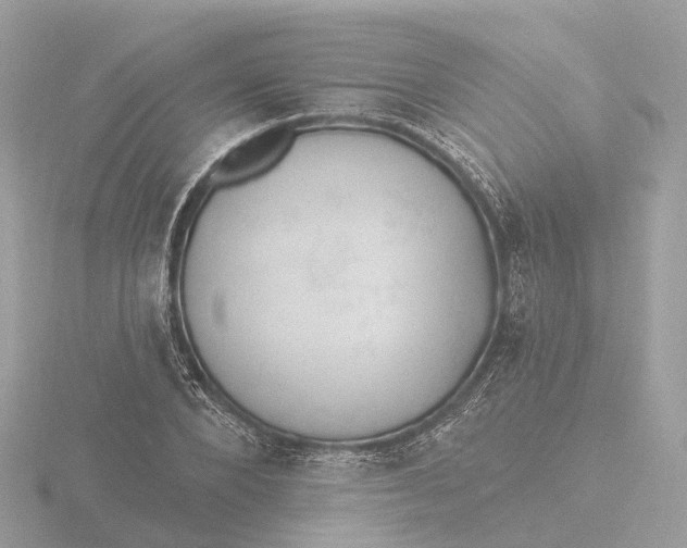 X0000116430880200912221503