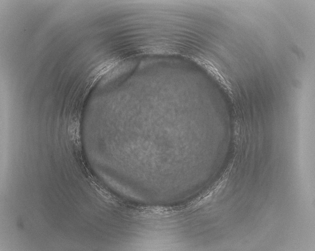 X0000116430881200912221503