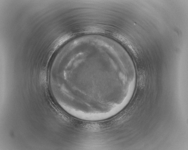 X0000116430882200912221503