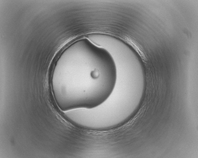 X0000116430884200912221503