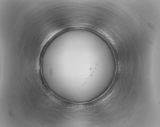 X0000116430885200912221503