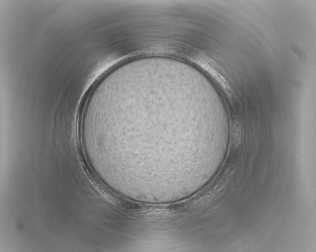 X0000116430886200912221503