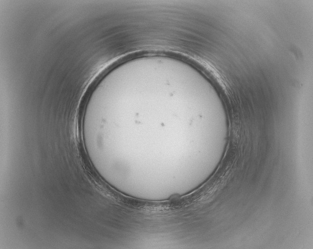 X0000116430887200912221503