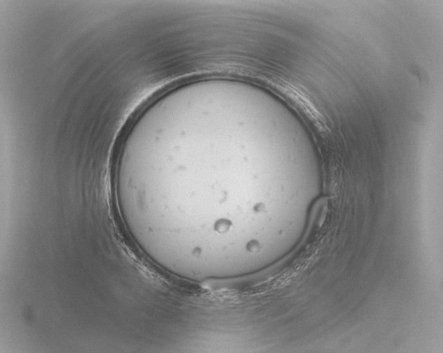 X0000116430888200912221503