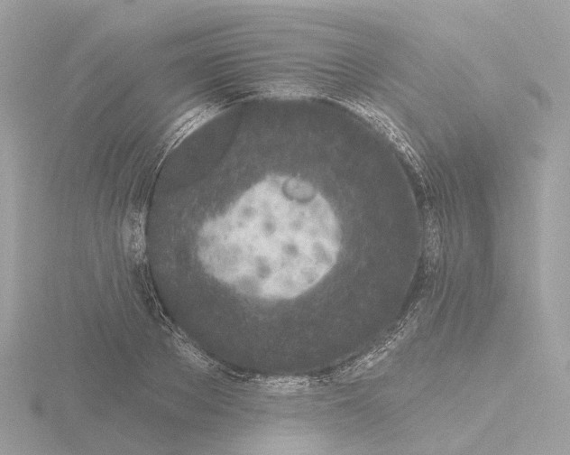 X0000116430889200912221503