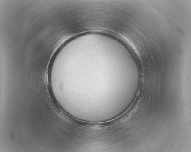 X0000116430891200912221503