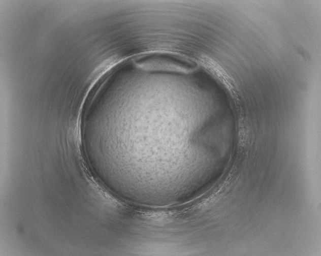 X0000116430892200912221503