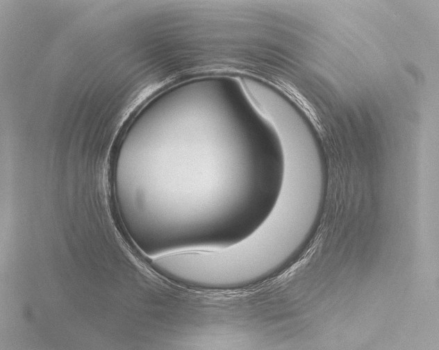 X0000116430893200912221503