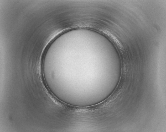 X0000116430894200912221503