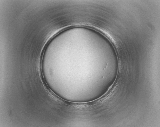 X0000116430895200912221503