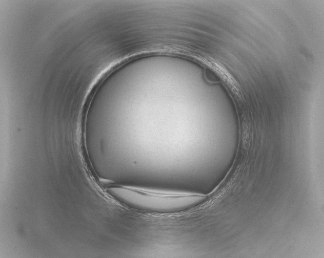 X0000116430896200912221503