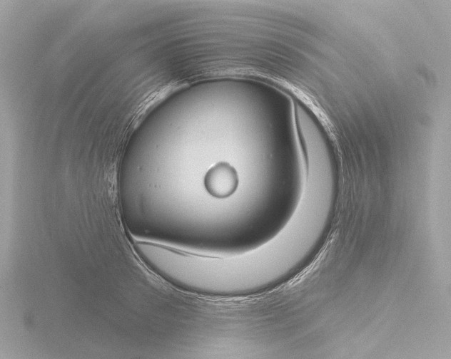 X0000116430897200912221503