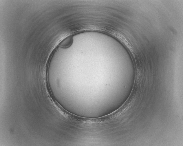 X0000116430898200912221503