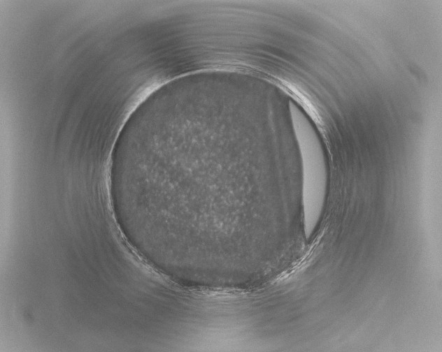 X0000116430899200912221502